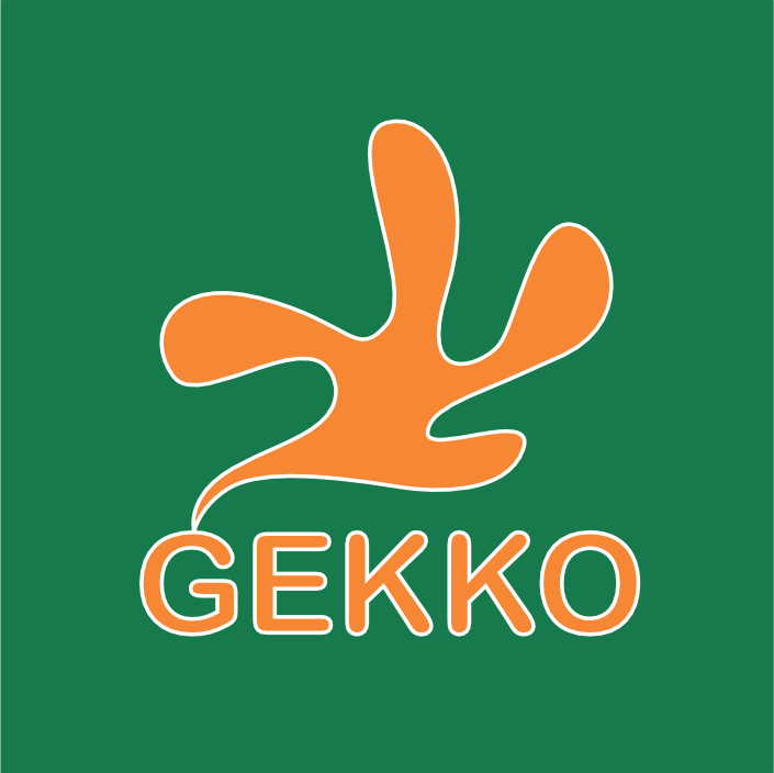 GEKKO KIDS